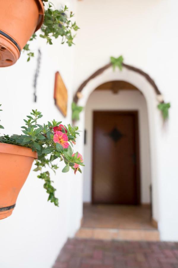 Apartamento Haus Berta Leutasch Exterior foto